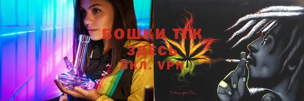 mdpv Бородино
