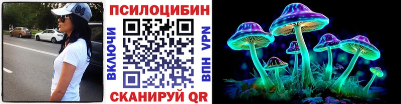 Псилоцибиновые грибы прущие грибы  KRAKEN как зайти  Курган  купить закладку 